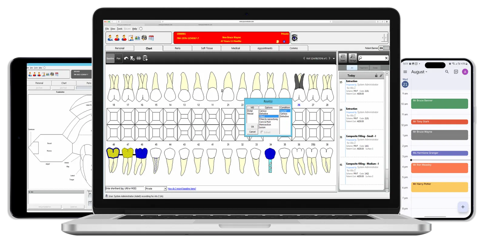 DigiSol website case study